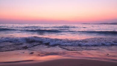 הילטון תל אביב