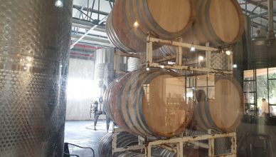 יקב עמק האלה יין וגבינות