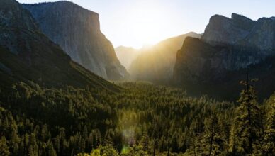 טיוך ליוסמטי פארק