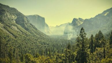 הפארקים הלאומיים הפופולריים ביותר בארצות הברית