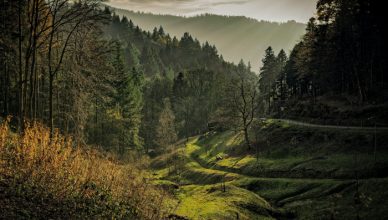 היער השחור גרמניה מסלול טיול