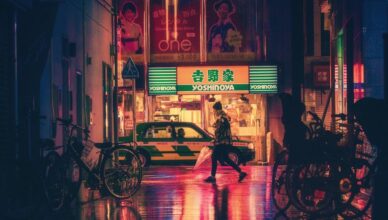 איך להתמצא בנמל התעופה של TOKYO טוקיו